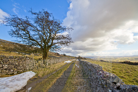 Roman Road, Askrigg, Yorkshire Dales